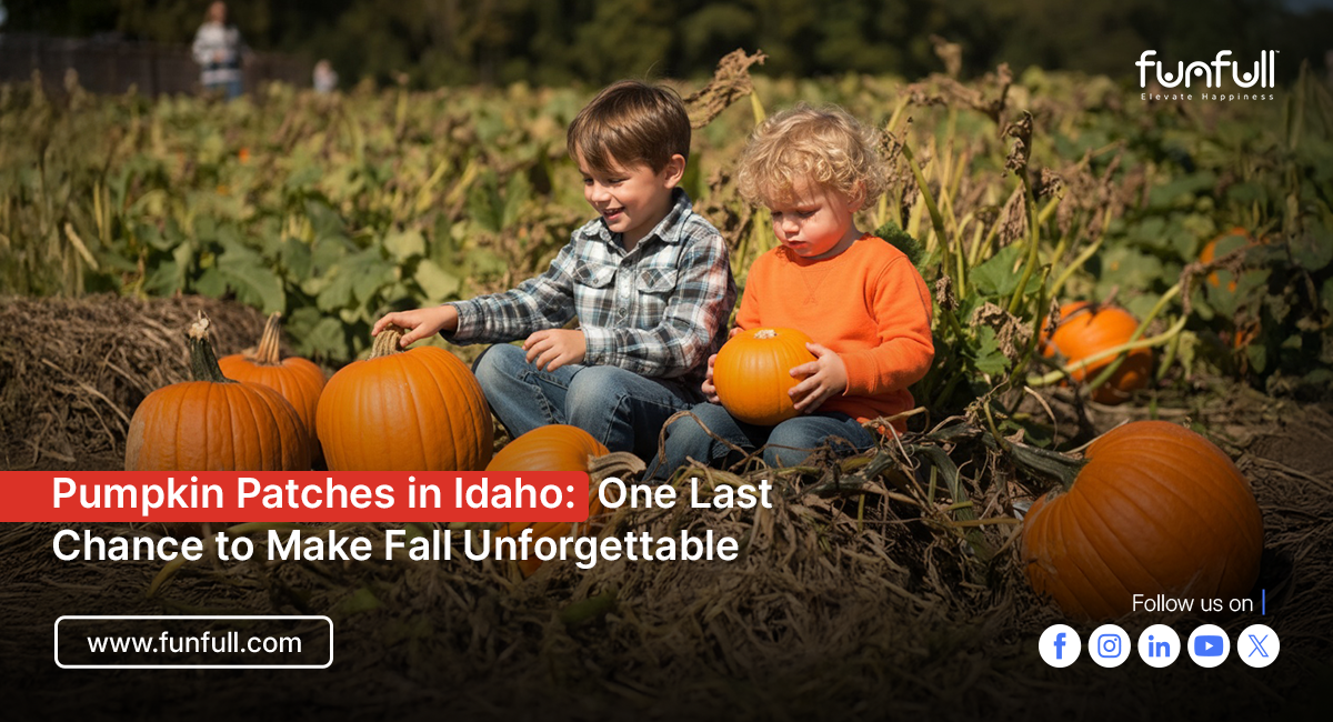 Pumpkin Patches in Idaho: One Last Chance to Make Fall Unforgettable